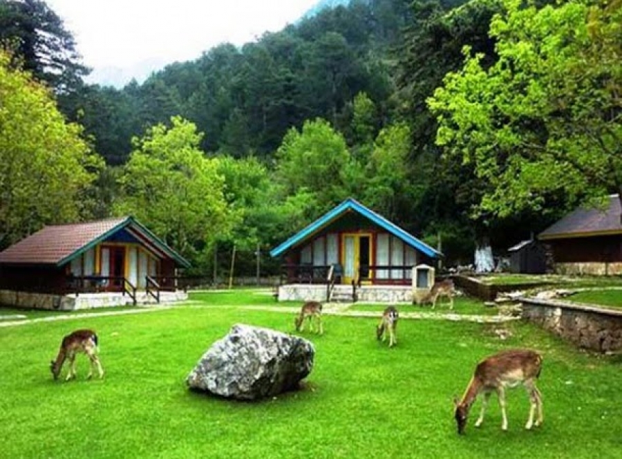 llogora national park 